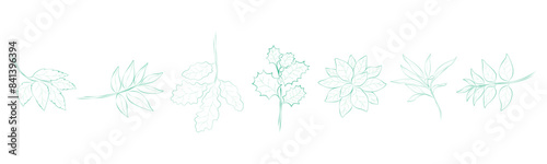 Leaf outline set vector that can be used in a variety of ways such as decorating cards, digital printing, fabric patterns, scrapbooking, paper patterns, sticker and more.