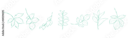 Leaf outline set vector that can be used in a variety of ways such as decorating cards, digital printing, fabric patterns, scrapbooking, paper patterns, sticker and more.