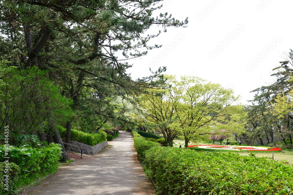 Obraz premium 寺尾中央公園(新潟県)