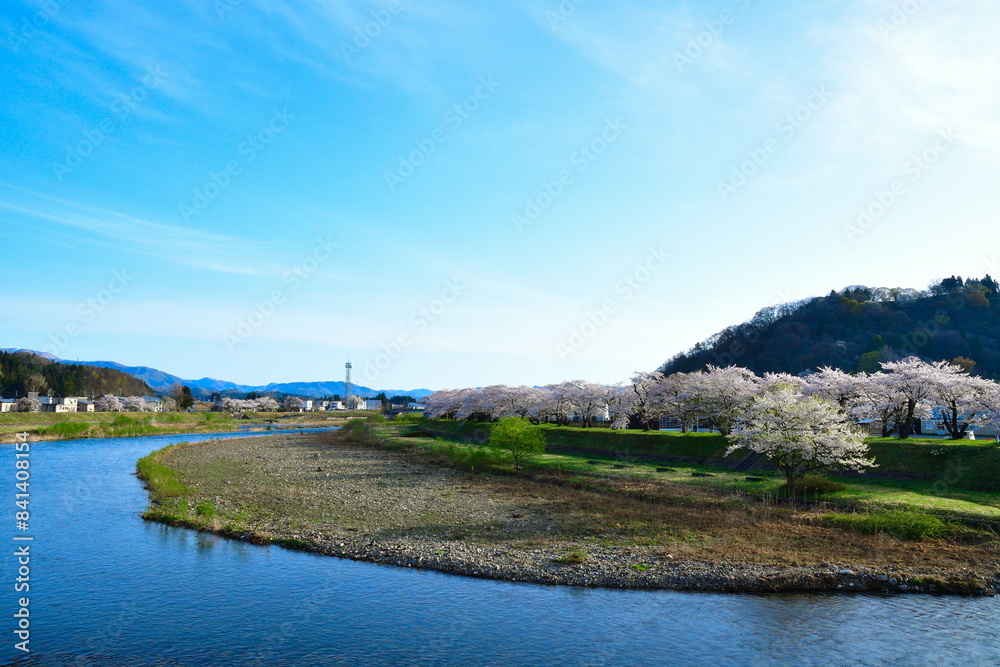 桧木内川堤の桜並木(秋田県) 桧木内川堤の桜並木(秋田県)
