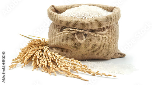 long rice in burlap sack with ears isolated on white background