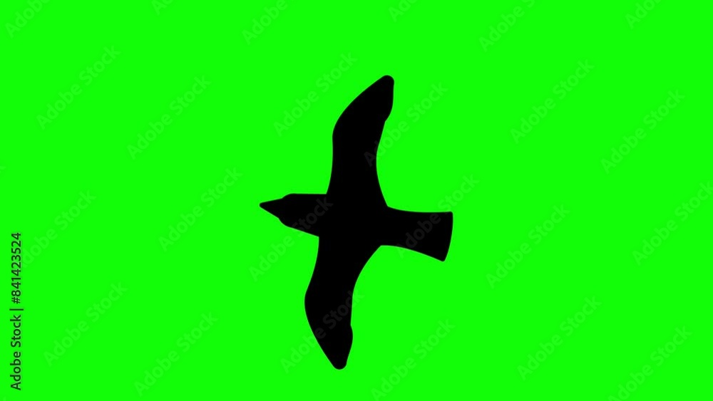 Flying Birds Silhouette on Green Screen Animation (Chroma key). Flying Birds Silhouette on Green Screen Animation (Chroma key).