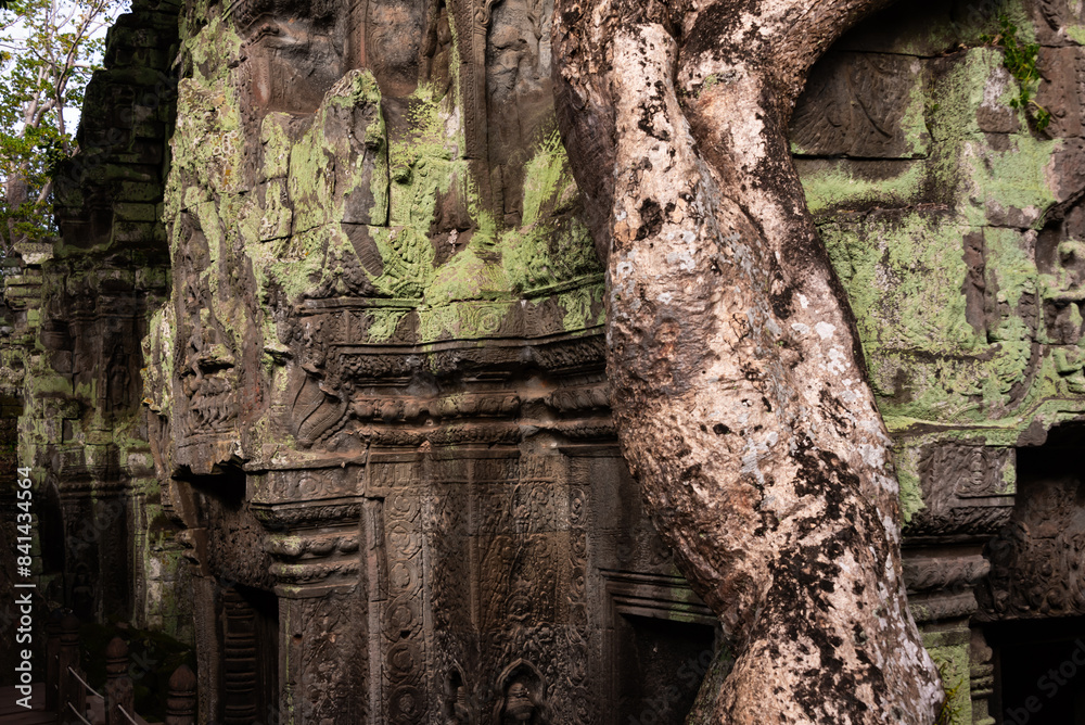 Angkor Thom, ancient temple ruins in Cambodia jungle with tree roots Angkor Thom, ancient temple ruins in Cambodia jungle with tree roots