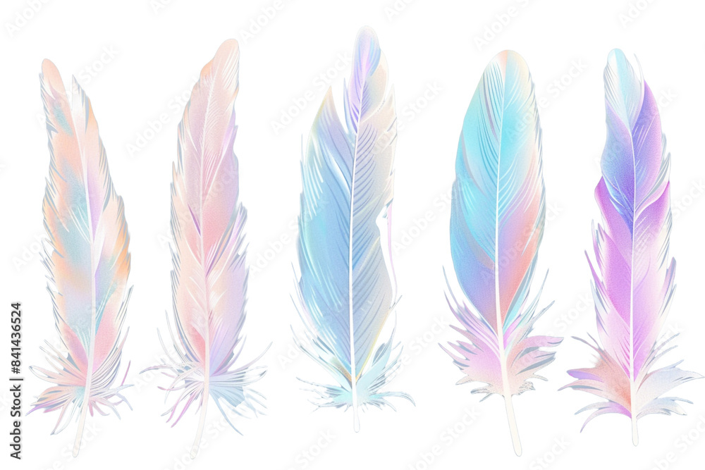 pastel feather isolated on transparent background pastel feather isolated on transparent background