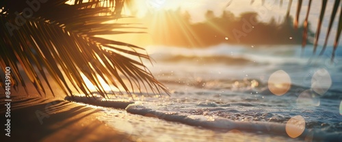 A summer sunset on a tropical beach with palm trees and golden sand with a blurred natural background.