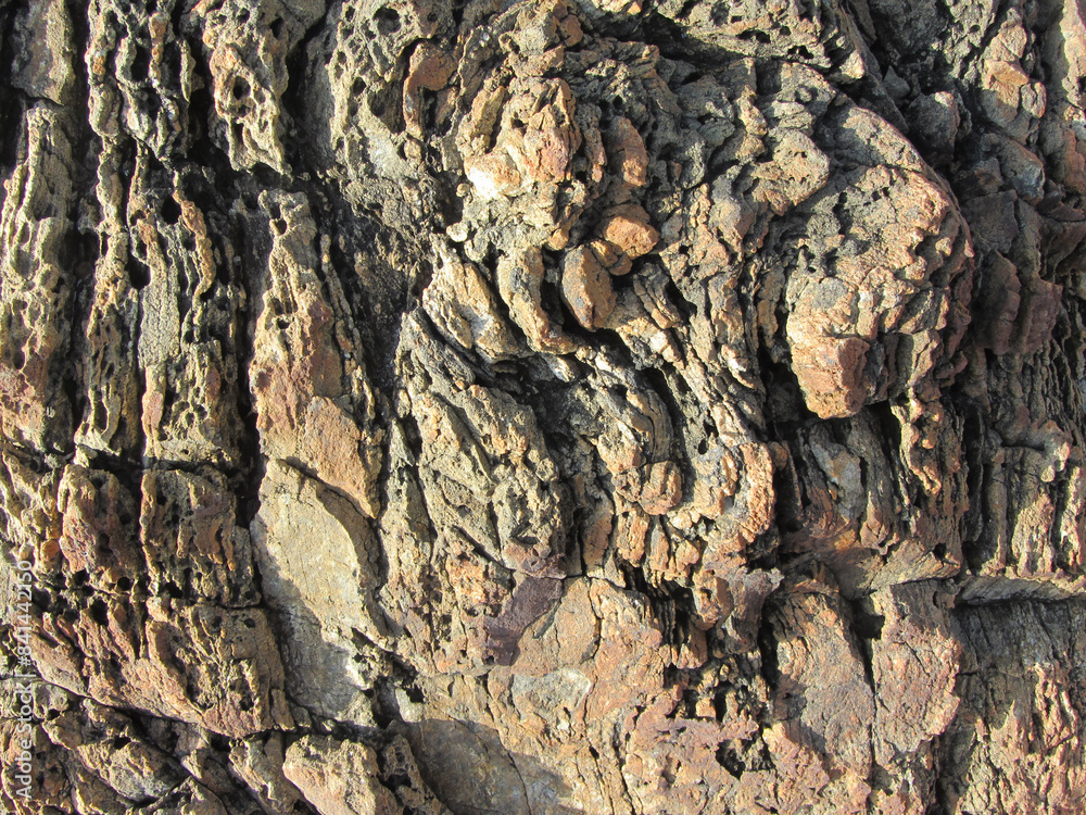Fototapeta premium texture of the stone