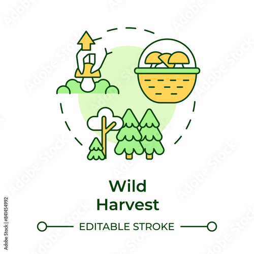 Wild harvest multi color concept icon. Mushroom cultivation technique. Edible mushrooms foraging. Round shape line illustration. Abstract idea. Graphic design. Easy to use in article