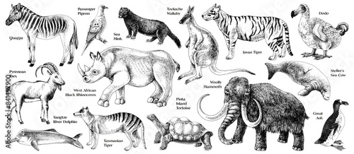 Set of hand drawn extinct animals