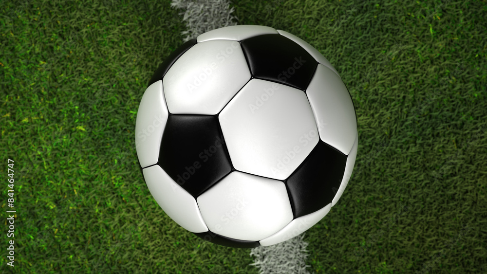 Fototapeta premium Fußball auf der Linie auf dem Rasen - 3D illustration