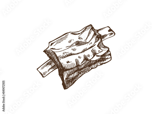 Hand-drawn monochrome vector sketch of barbecue ribs. Doodle vintage illustration. Decorations for the menu of cafes and labels. Engraved image.
