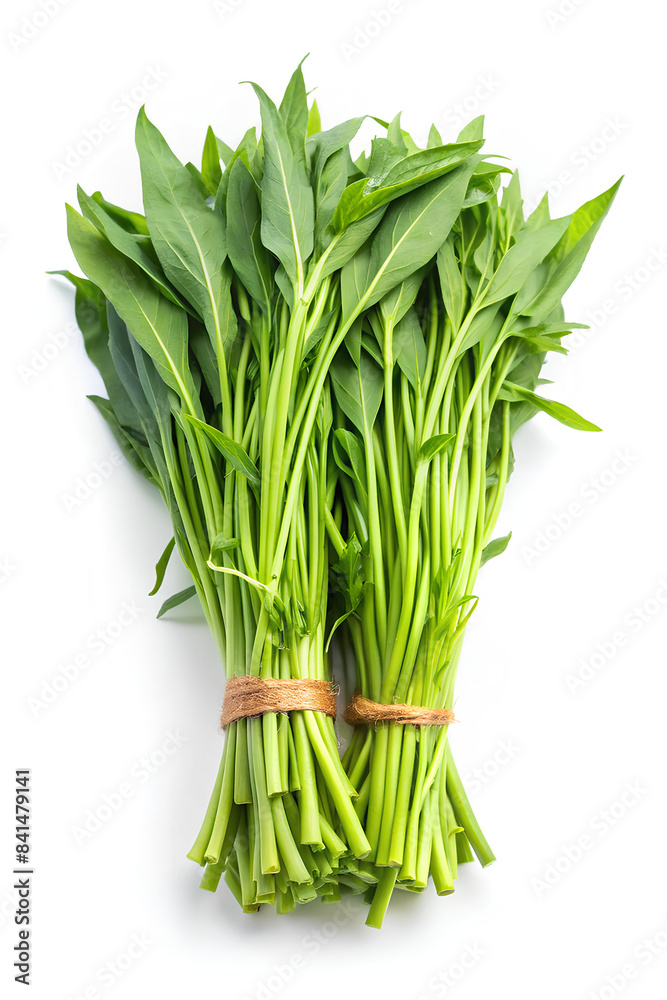 Thai Morning Glory. Thai water spinach, water spinach isolated on white background Thai Morning Glory. Thai water spinach, water spinach isolated on white background