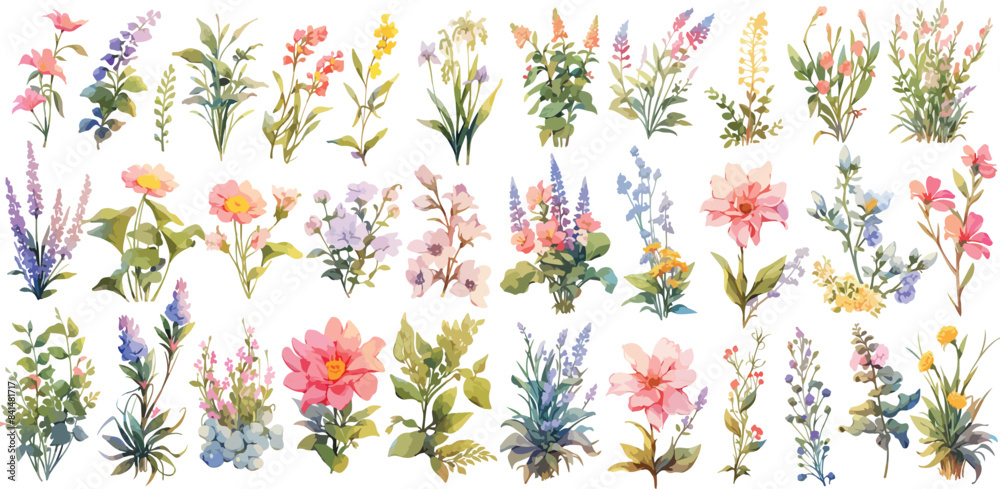 wildflower clipart vector for graphic resources wildflower clipart vector for graphic resources