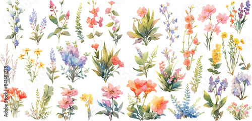 wildflower clipart vector for graphic resources	