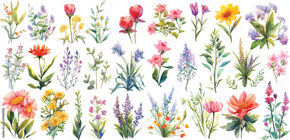wildflower clipart vector for graphic resources wildflower clipart vector for graphic resources
