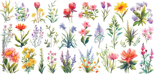 wildflower clipart vector for graphic resources	