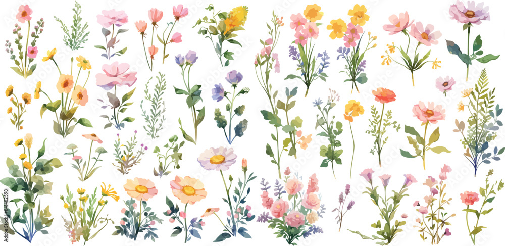 wildflower clipart vector for graphic resources wildflower clipart vector for graphic resources