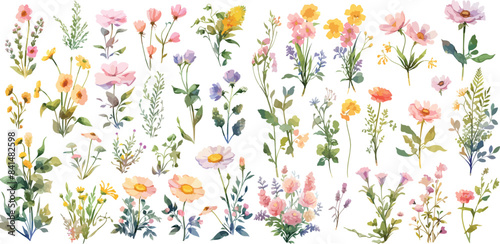 wildflower clipart vector for graphic resources	
