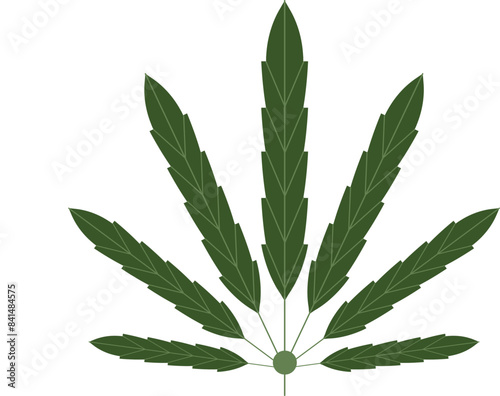 Hemp plant vector image