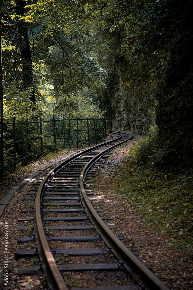Obraz premium Early morning. Old railway in a mountain forest.