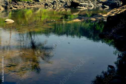 beautiful and cooling river with trees and rocks