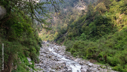 Photography Char Dham (Kedarnath, Badrinath, Gangotri And Yamunotri )  Yatra Trekking Scenic