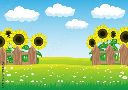 Summer landscape with sunflowers and a field of flowers.
