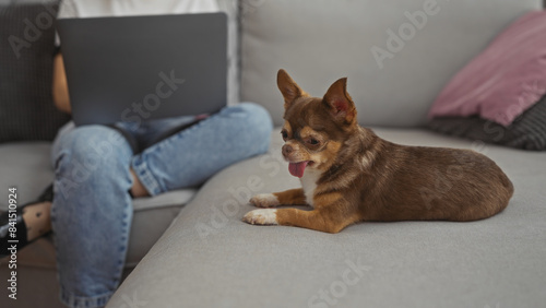 A young woman works on a laptop at home in the living room while her chihuahua dog relaxes beside her on the couch  showcasing a cozy indoor setting.