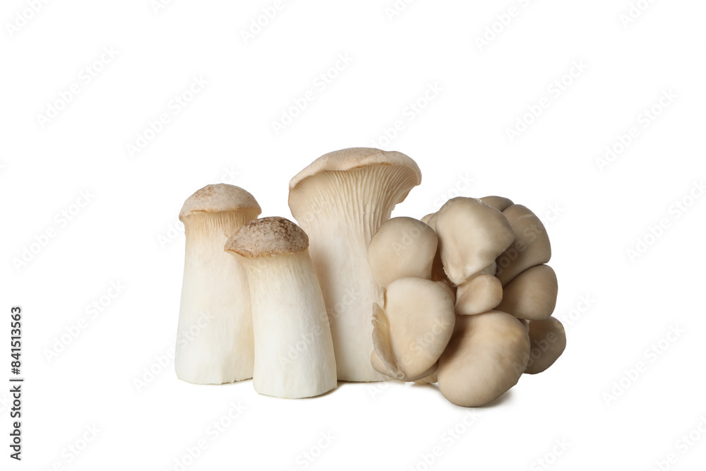 Fototapeta premium PNG, Fresh peeled mushrooms, isolated on white background