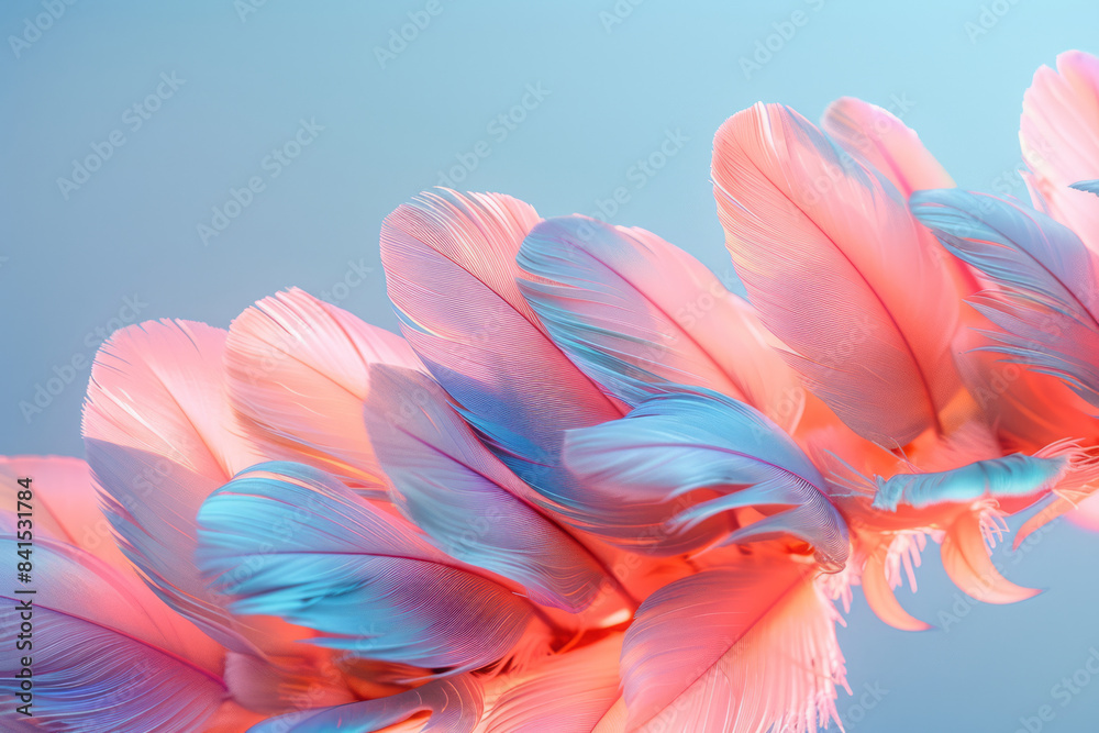 Iridescent feathers encircling a pastel sky blue background, Iridescent feathers encircling a pastel sky blue background,
