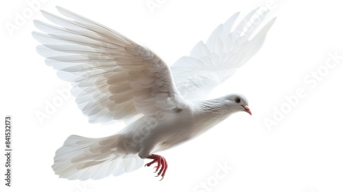 Beautiful white dove ascending against a pure white sky, emblem of peace and harmony