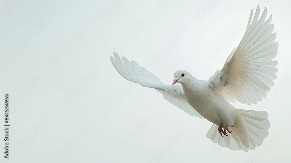 Fototapeta premium Close-up of a serene white dove soaring against a clear white sky, symbol of hope