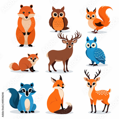 a group of different types of animals on a white background