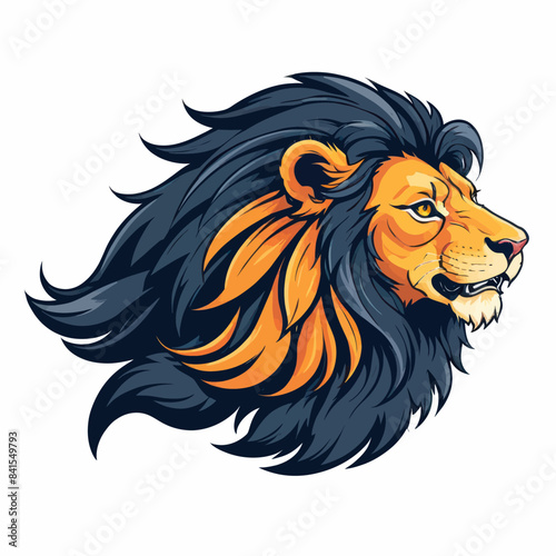 a lion's head with a long mane