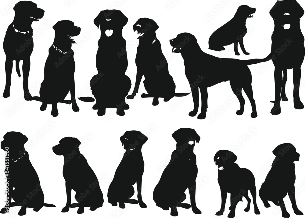 Labrador Retriever Dog set silhouette black vector on white background