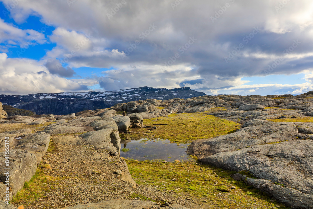 Fototapeta premium Norway landscape on a sunny summer day