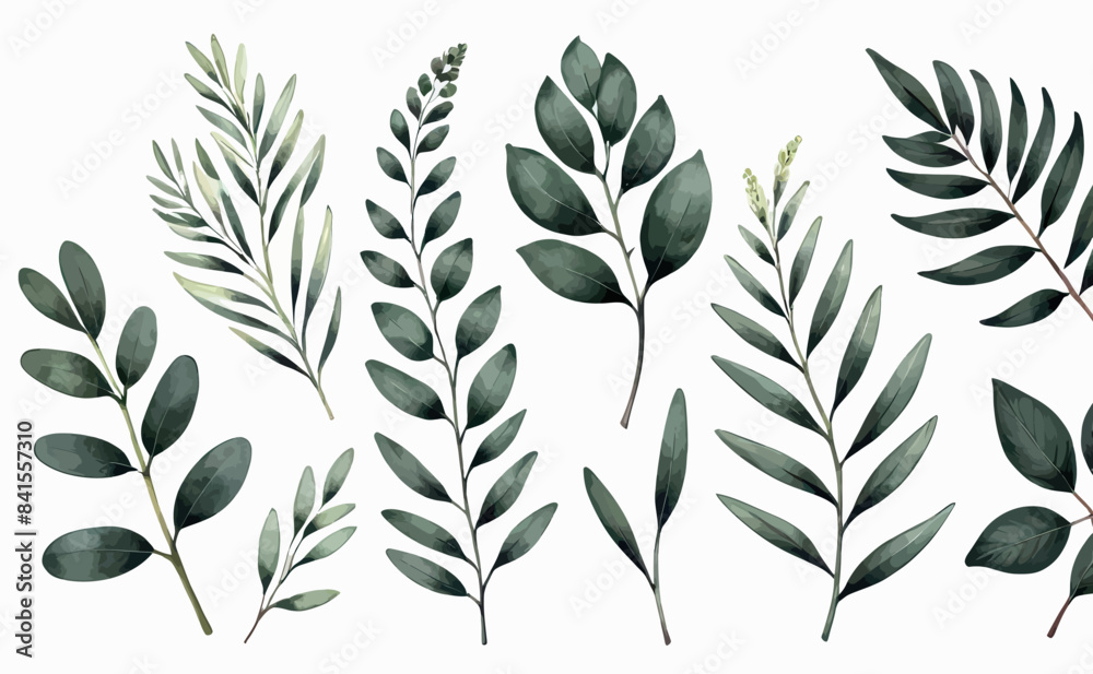 a bunch of green leaves on a white background a bunch of green leaves on a white background