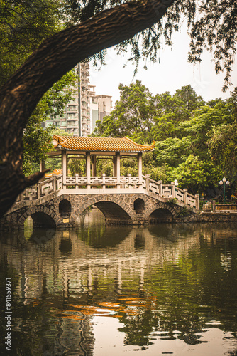 tree garden in china