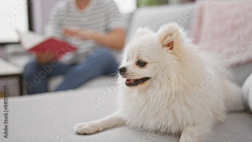 Smart and handsome young caucasian man comfortably relaxing with his pet dog, engrossed in reading a book on the sofa in his cozy home's living room.