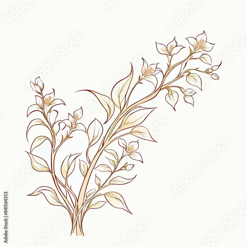 a drawing of a plant with leaves and flowers