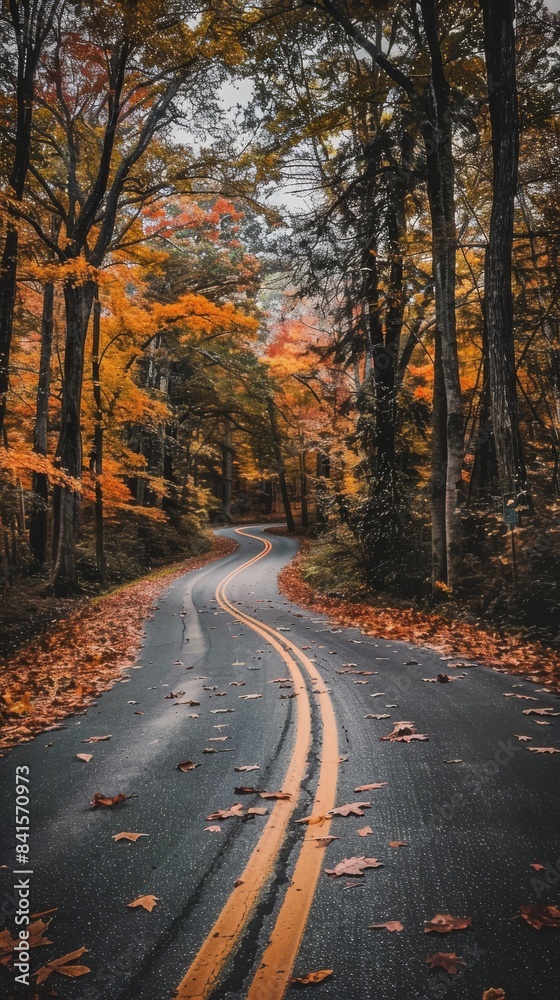 Winding road through autumn forest Winding road through autumn forest