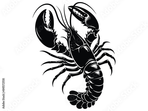 lobstar vector
