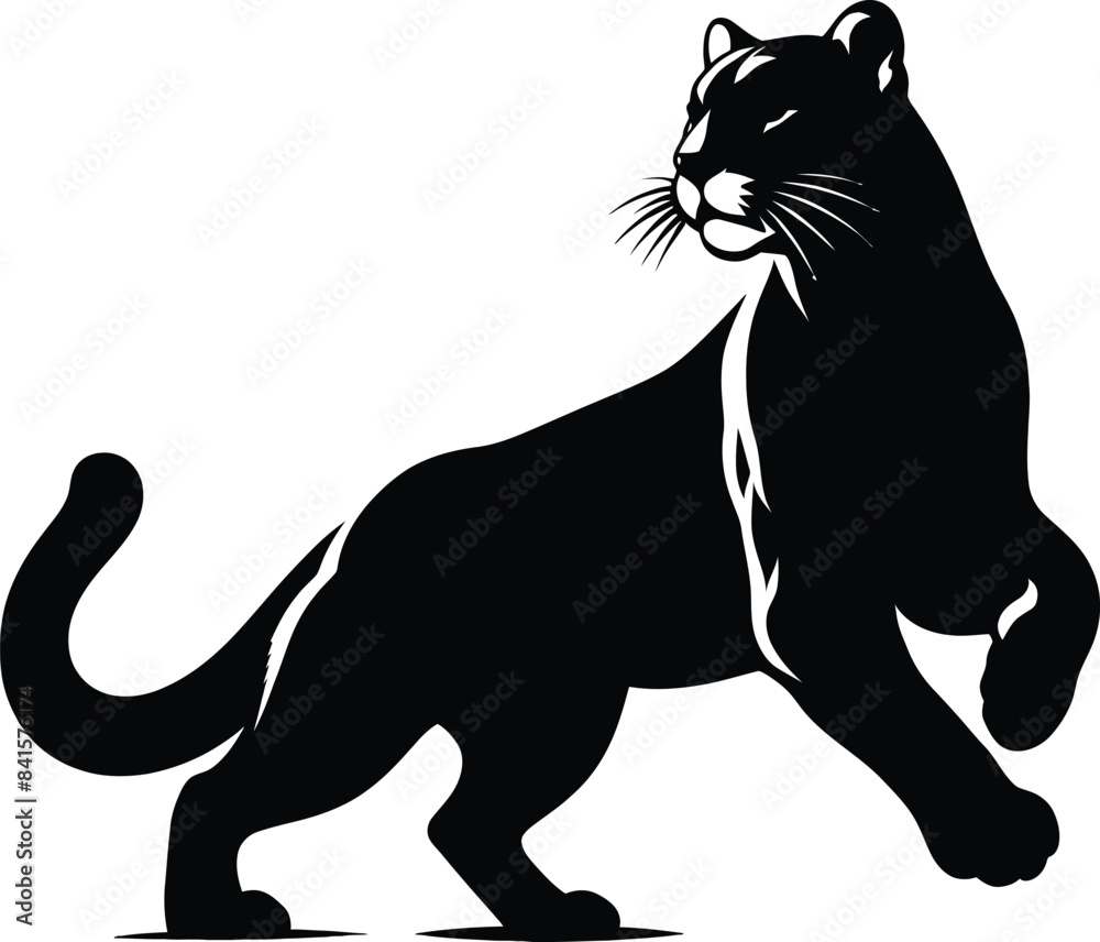 illustration of a cat illustration of a cat