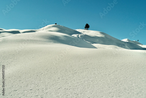 A snowy mountain with a tree in the middle