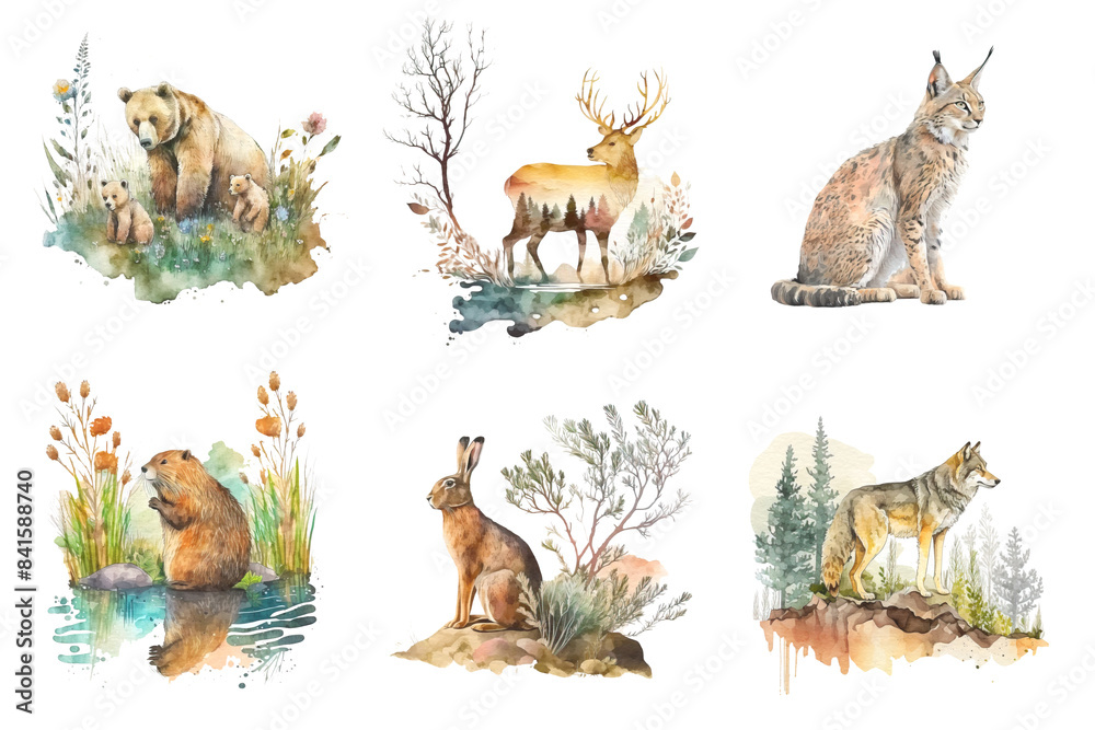 Fototapeta premium Woodland animals watercolor clipart. A mother bear with cubs, a deer, a lynx, a beaver, a hare and a wolf. Animals in their natural habitat. Set of watercolor images isolated on white background.