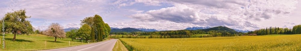 Obraz premium Panorama banner with spring landscape, national road going through yellow colza fields, canton of Vaud, Switzerland