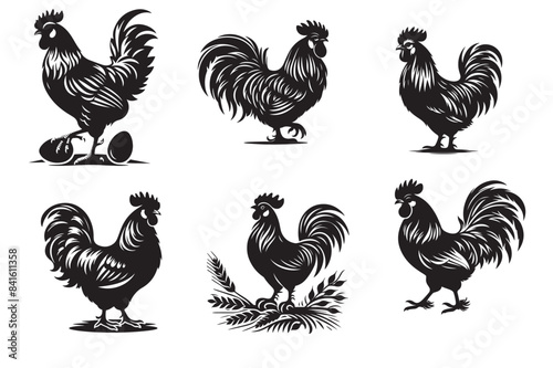Chicken silhouette vector illustration.eps