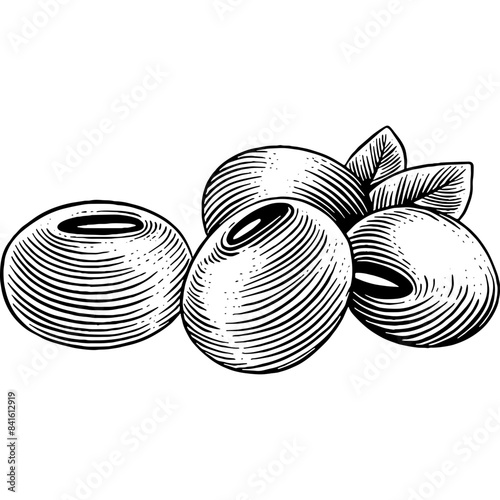 Hand drawn Soybeans Sketch Illustration