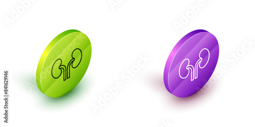 Isometric line Human kidneys icon isolated on white background. Green and purple circle buttons. Vector