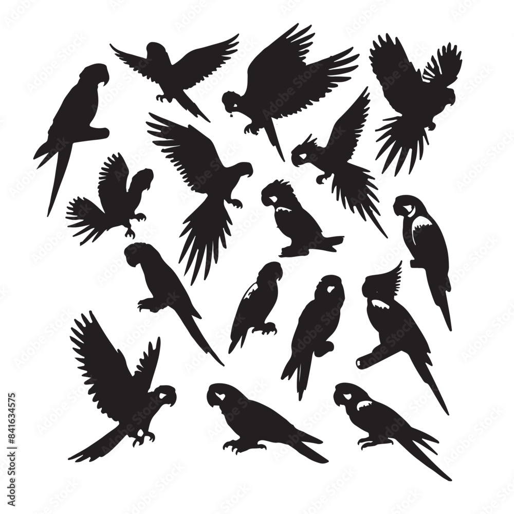 Obraz premium set of silhouettes of birds | collection of birds | set of birds | set of bird silhouette vector | birds silhouette
