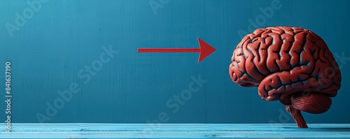 Illustration of a brain with a red arrow pointing towards it on a blue background, symbolizing knowledge or mental focus. photo